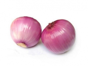 ���������е�Ӫ����ֵ ���������е�ʳ�÷���