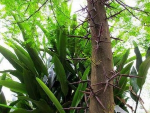 ¯�ʹ��Ĺ�Ч������