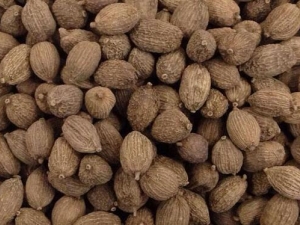 ���к���ɢ���� ���к���ɢ��Ч ���к���ɢ��������