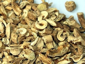 �������Ĺ�Ч������ �������ļ���