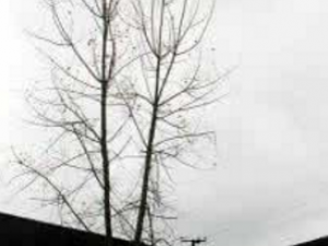 �����_������Ĺ�Ч|�÷�