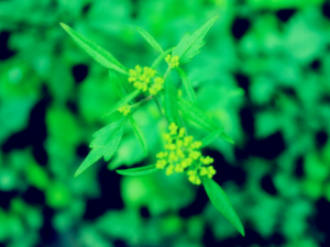 �����_����ݵĹ�Ч|�÷�����