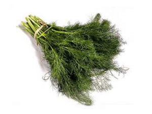 ��������Ĵ��� ��������Ĺ�Ч