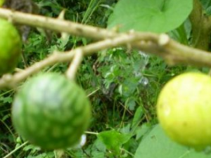 ���ո�ð��ô�� ��ҽ�Ƽ���ð����