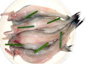 ��ĸ��_��ĸ��Ĺ�Ч|�÷�����