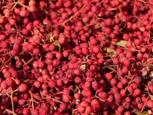 ��Ŀ�Ĺ�Ч������ �����뽷Ŀ������