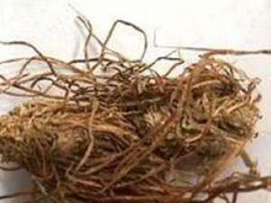 Ŵ���ݸ��Ĺ�Ч������ Ŵ���ݸ����ٴ�Ӧ��