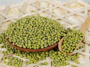 �Ŷ���ʲôʳ��� Ů������Ŷ�