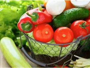 �ļ��������������� ������ο�������