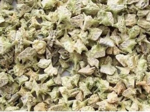 ����Ӣ�ӵĹ�Ч������ ����Ӣ�Ӹ�������