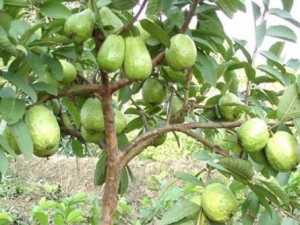 ��к��Σ�� ��к��ô�� ��к��ʲôˮ����