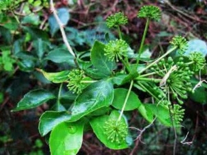 �׺{ϴ������ �׺{ϴ����Ч �׺{ϴ����������