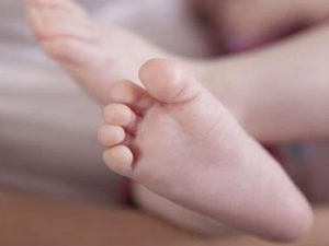 �����������ԭ�� ���Ԥ��������