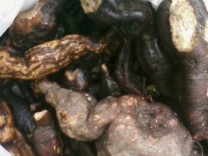 �����˸��Ĺ�Ч������ �����˸��ĸ���