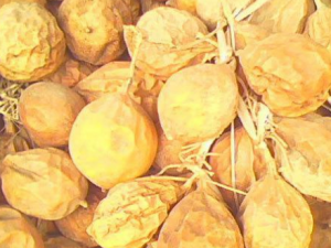 ����Ƥ_����Ƥ�Ĺ�Ч|�÷�