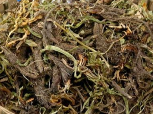 ����_���ɵĹ�Ч|�÷�