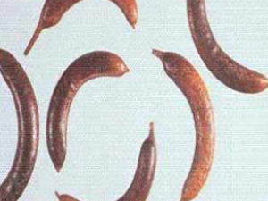 �ȼ�ϡ��ɢ�Ĺ�Ч �ȼ�ϡ��ɢ�����