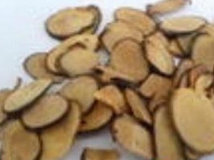 ������Ĺ�Ч������