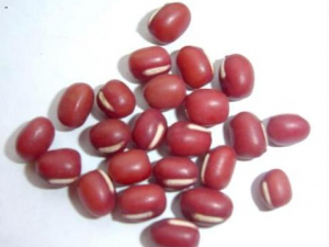 СС�춹����������