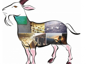 �l���-�l��ǵĹ�Ч|�÷�