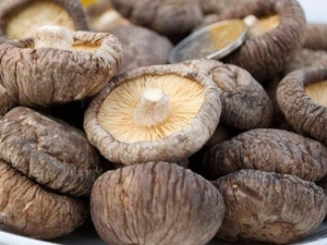 ������Ӫ����ֵ ������ʳ�÷���