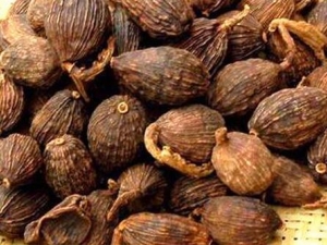 ��ɽ�׻������� ��ɽ�׻�����Ч ��ɽ�׻�����������