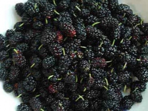 ��Ѫѹ��֢״ ��Ѫѹ��ʲôˮ����