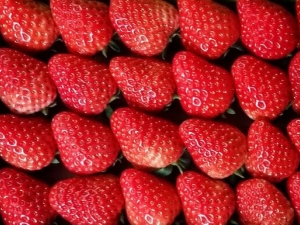 ����Ů���ϰ�û������ô�� �ļ������ʲô��