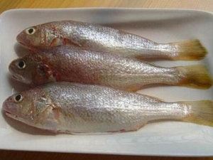 �й����Ӫ����ֵ �й����ʳ�÷���