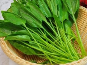 �߲���ô�ԲŽ��� �����ȷ���߲�