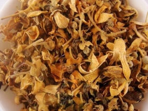 �ٺ�̵�ȼ�ദ�� �ٺ�̵�ȼ�๦Ч �ٺ�̵�ȼ���������