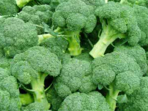 ҪഺϺפ Ů˲˵زٵ9ʳ