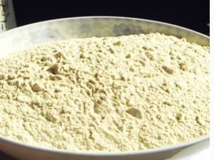 ������۵����� ������۵�Ӫ������