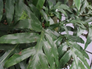 ��������ާ�Ĺ�Ч������