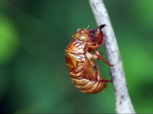 ��Щ��ҩ����һ������������˷�