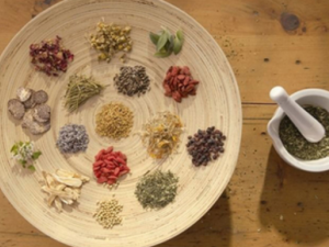 ���εĹ�Ч ���ι�֦����ݡ����