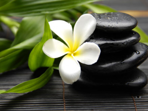 �ļ�����������ע��Щʲô�� �ļ���������