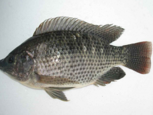 ��Ӧ����ô�� ��Щ�˲��ܳ���