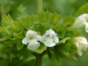 ���ݵ����� ���ݵ�Ӫ������