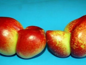 ����ˮ���Ĳ���ԭ�� ����ˮ����Ӫ����ֵ