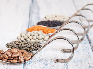 �ⶹ�ǵ����� �ⶹ�ǵ��������������ζ