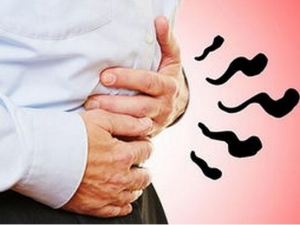 ����֬������ô�� ֬���γ�ʲô��