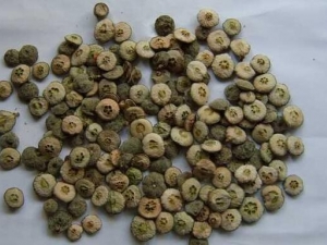 ���׿ǵĹ�Ч�����ü�����