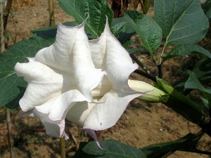 ��𻨵����� ��𻨵ļ��𷽷�