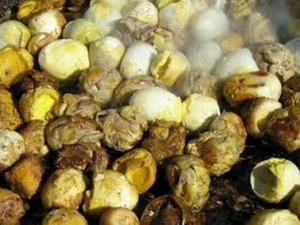 ë������Ӫ����ֵ ë�������Գ���