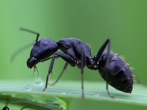 �����ϵĹ�Ч������ �����ϵ�Ӫ����ֵ