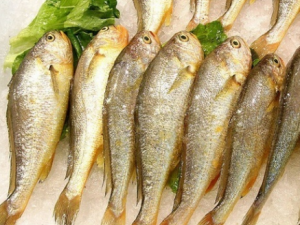 С��������� С�����Ӫ������