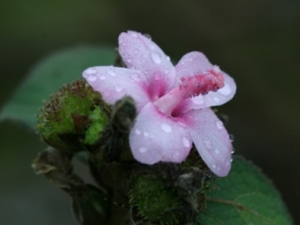 ��η�������Ǳ�ڼ��� ��ҽ��ΰ���������