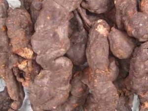 �������������� ������������Ч ������������������