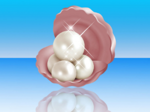 �����Ӫ������ �����ʳ������